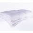 Одеяло теплое 150х200 из элитного гусиного пуха кассетное Nature's Воздушный вальс